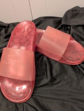 Coach Glittery Pink Slide Sandals